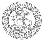 Università degli studi di Torino